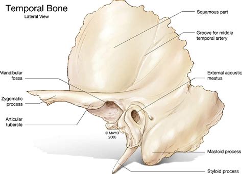 References In Temporal Bone Fractures A Review For The Oral And Maxillofacial Surgeon Journal