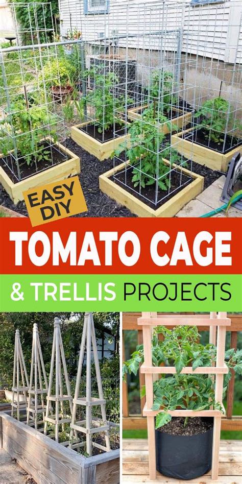 Easy Diy Tomato Cage And Trellis Ideas • The Garden Glove