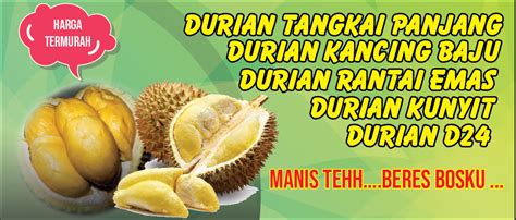 Sepengetahuan saya, sampai saat ini durian hanya di manfaat kan sebagai bahan untuk roti, ice cream, minuman seperti ice campur dan selai untuk roti. Baner Unik Durian Kocok - Durian Kocok Kedai Rekhans Bikin Nagih Pajajaran Post / Baner unik ...