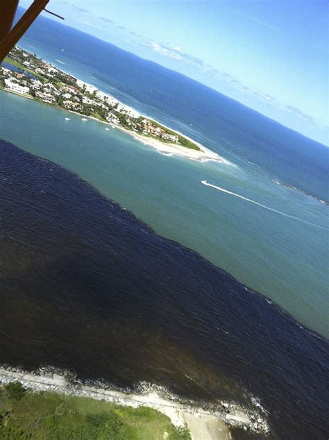 Aerials Never Forget The Lost Summer St Lucie Riverindian River