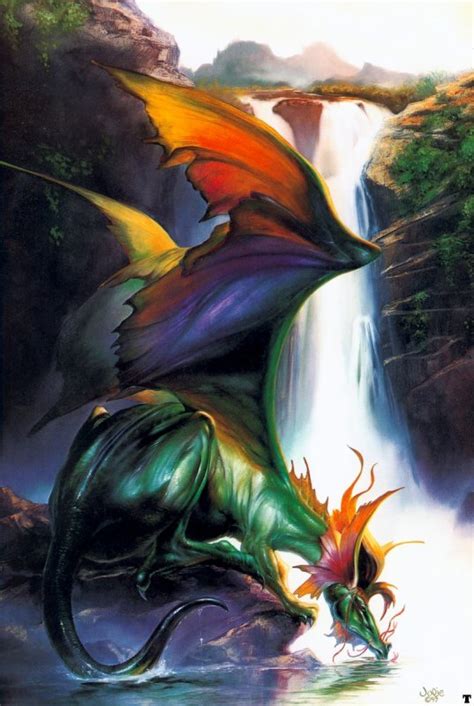 Blackdragoon Images Les Dragons Multicolores Infos Images Et