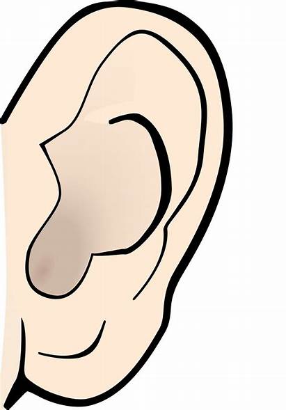 Ear Clipart Clip Nose Hearing Sense Ears