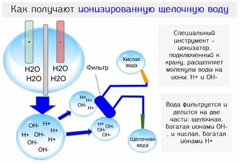 Лучшая диета для организма