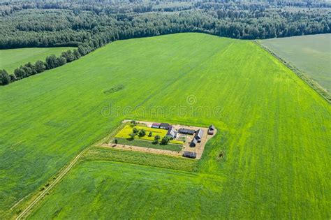 Panoramic Aerial View Of Summer Green Cultivated Fields