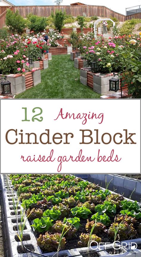 How to make raised garden beds with cinder blocks. 12 Amazing Cinder Block Raised Garden Beds - Off Grid World