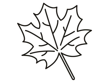 Maybe you would like to learn more about one of these? Maple Leaf Coloring Page at GetColorings.com | Free ...