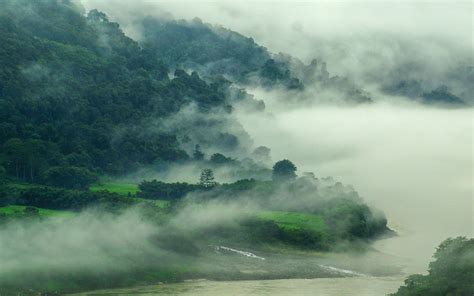 Wallpaper 1920x1200 Px Forest Grass Green India Landscape Mist