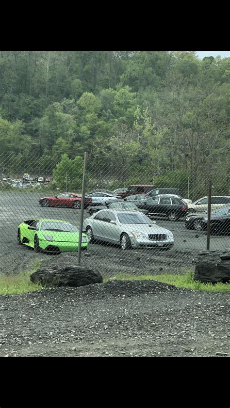 The longer you look, the worse it gets. “Exotics pen” at local pick