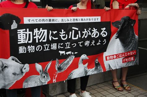 デモ ヴィーガンになろう！ 動物愛護団体、渋谷で呼び掛け ！！ ねことダンボール