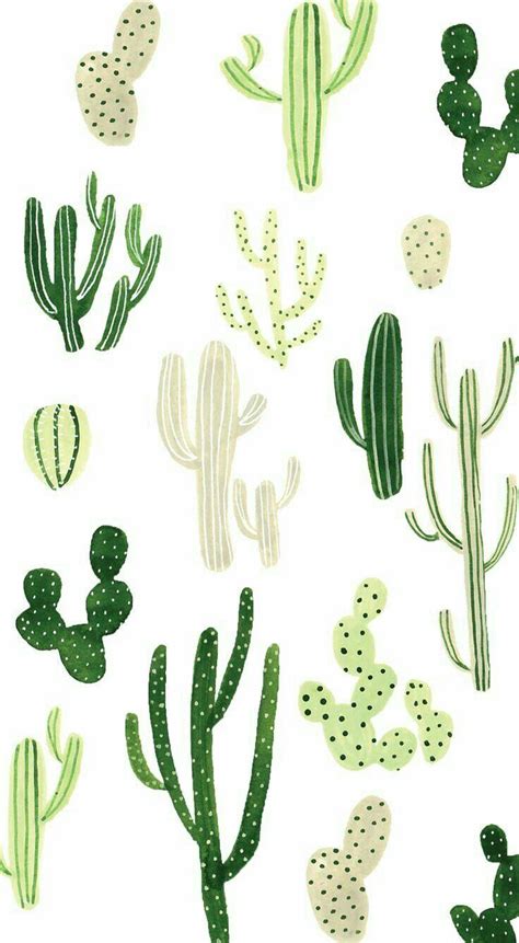 Cute Cactus Wallpapers Photos