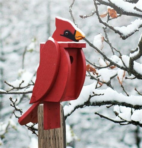 Bird House Red Cardinal Bird Acrylic Painting