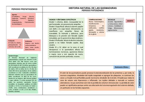 Solution Historia Natural De La Enfermedad Heridas Por Quemaduras
