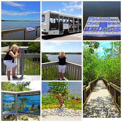 Sanibel Island Things To Do And Recommended Day Trips Funandfork