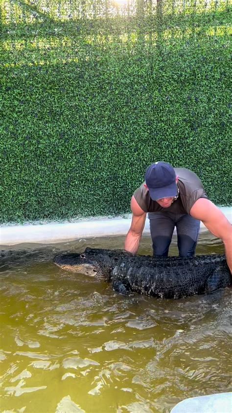 Handling Darth Gator Hes A Wild One This Really Shows How During