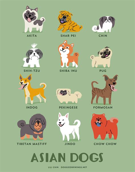The Origins Of 200 Dog Breeds Explained In Adorable Posters Demilked