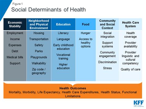 How The Environment Impacts Your Health Social Determinants Of Health