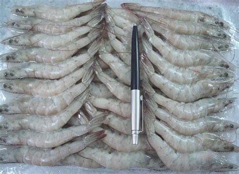 Frozen Vannamei White Shrimp Export Vietnam Japan Korea Netherlands