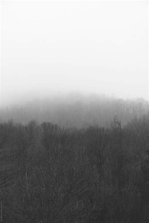 Foggy Forest Hill By Stocksy Contributor Pixel Stories Stocksy