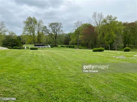 Open Grass Field Photos And Premium High Res Pictures Getty Images