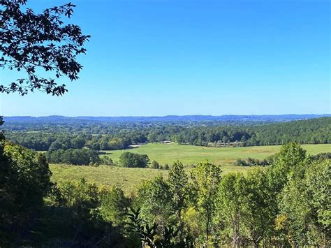 392 Acres In Colbert County Alabama
