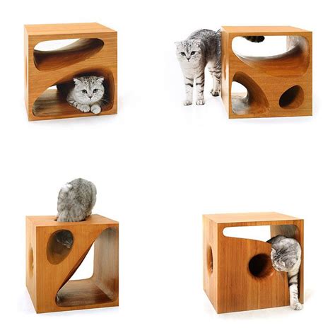 Catable 20 Cat Friendly Cubes With A Twist Make Them Roar Cat