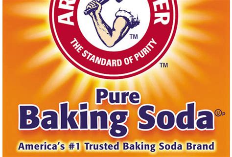 Arm And Hammer Pure Baking Soda 454g1lb Mejs
