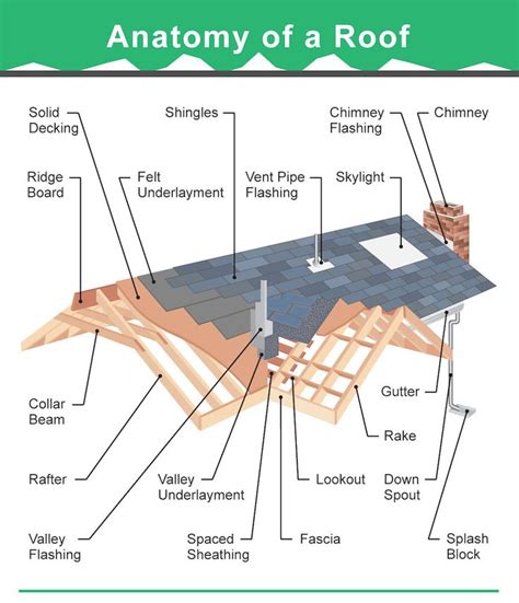 36 Types Of Roof Designs For Houses Featuring Illustrated Examples Of
