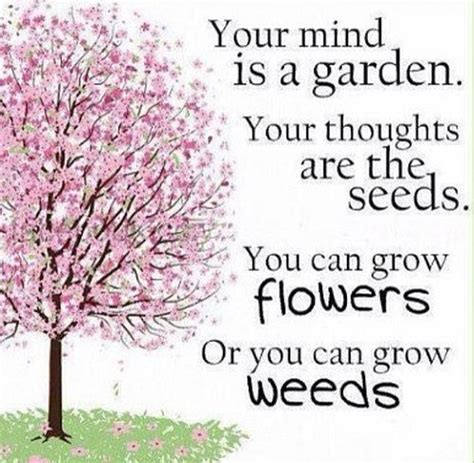 In the land of the rejected, the field is flattened, open to much oppurtunity. Your Mind Is A Garden | Quote Picture