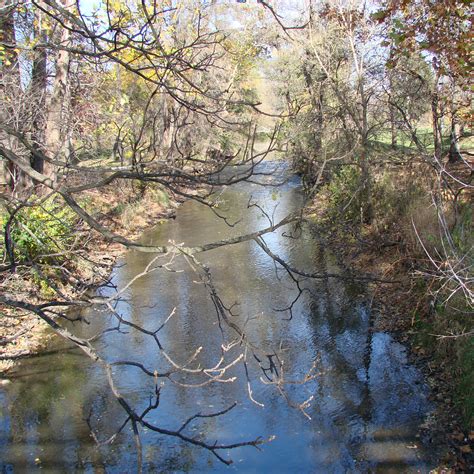 The Almost Hidden Creek Free Stock Photo Public Domain Pictures