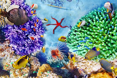 Beautiful Underwater World Jigsaw Puzzle In Under The Sea Puzzles On
