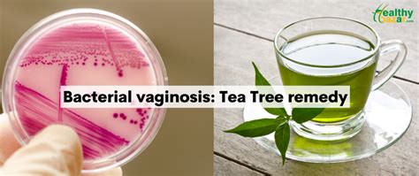Bacterial Vaginosis Tea Tree Remedy