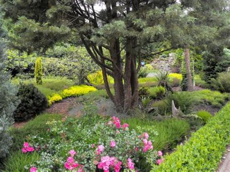 Seit 1982 hegen walter kapron und manfred genseburg ihren, für diese region so einzigartigen garten, ihr „grünes paradies auf etwa 30.000 quadratmetern. Botanischer Garten Christiansberg