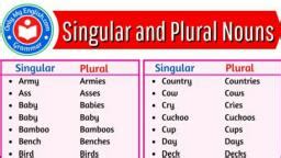 Singular And Plural English Assignment Teachmint