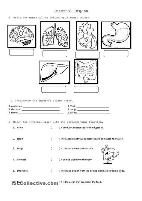 Worksheet For Class 5 Science
