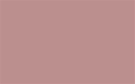 2560x1600 Rosy Brown Solid Color Background