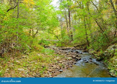 Forest Creek In Autumn Stock Photography Image 34556672