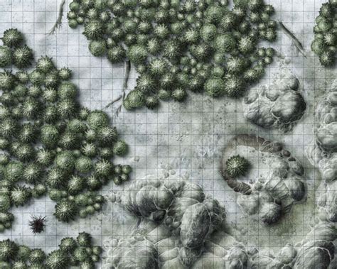 Oc Art Snowy Forest Path Battle Map 22x30 Dnd Dnd Wor Vrogue Co