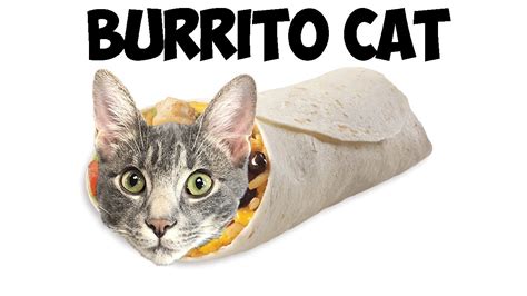 Animal Blind Bags Burrito Cat Cutetitos Plush Burritos