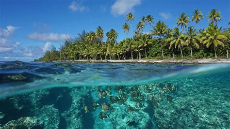 French Polynesias Islands Are The Most Beautiful Spots On