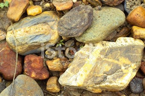 Colorful River Rocks Stock Photo Royalty Free Freeimages