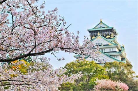 Sakura Osaka The Top 10 Cherry Blossom Spots You Have To Visit
