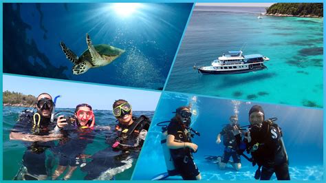 Scuba Diving Courses Phuket With Padi · Local Dive Thailand