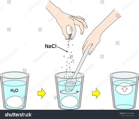 Density Experiment With Egg And Salt Water Royalty Free Stock Vector