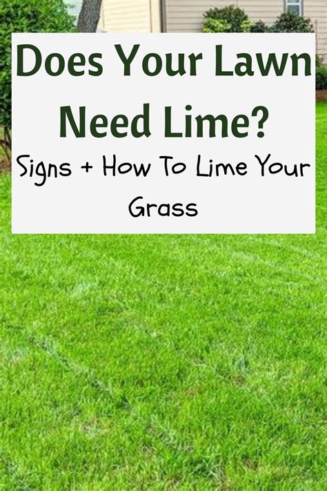 Why When And How To Apply Lime To Your Lawn Artofit