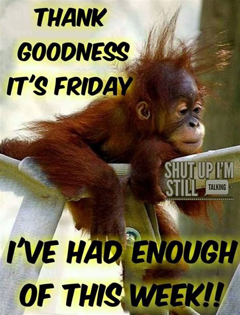 It's friday so tomorrow meme. Thank Goodness It's Friday. I've Had Enough Of This Week ...