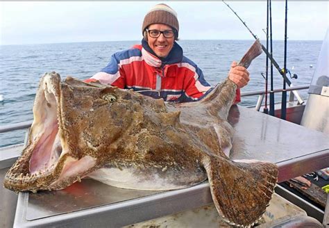 Scandinavian Monkfish Daily Scandinavian