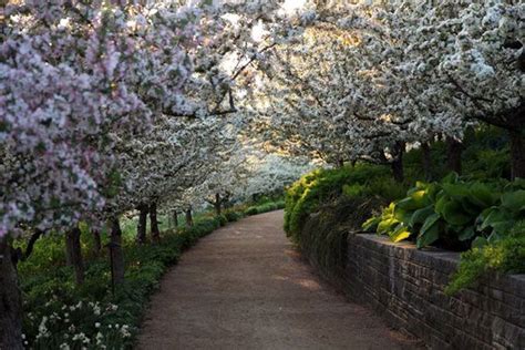 13 Peisaje Si Flori Superbe De Primavara Spring Landscape Landscape