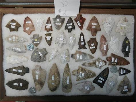 Savannah River Type Arrowhead Fossils And Artifacts For Sale Paleo