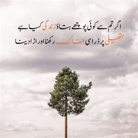 Motivational Poetry On Life Struggle Lines In Urdu English