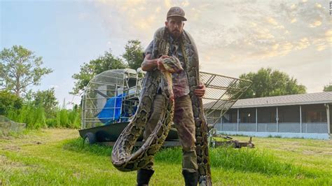 17 Foot Python Caught In Florida Cnn